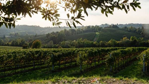 28 maggio Bollicine XP: il Prosecco nell'universo degli spumanti e le ragioni del suo successo